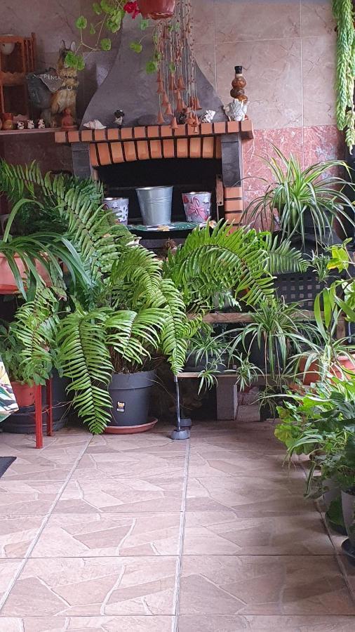 Casa Rural El Puente Taganana Bagian luar foto
